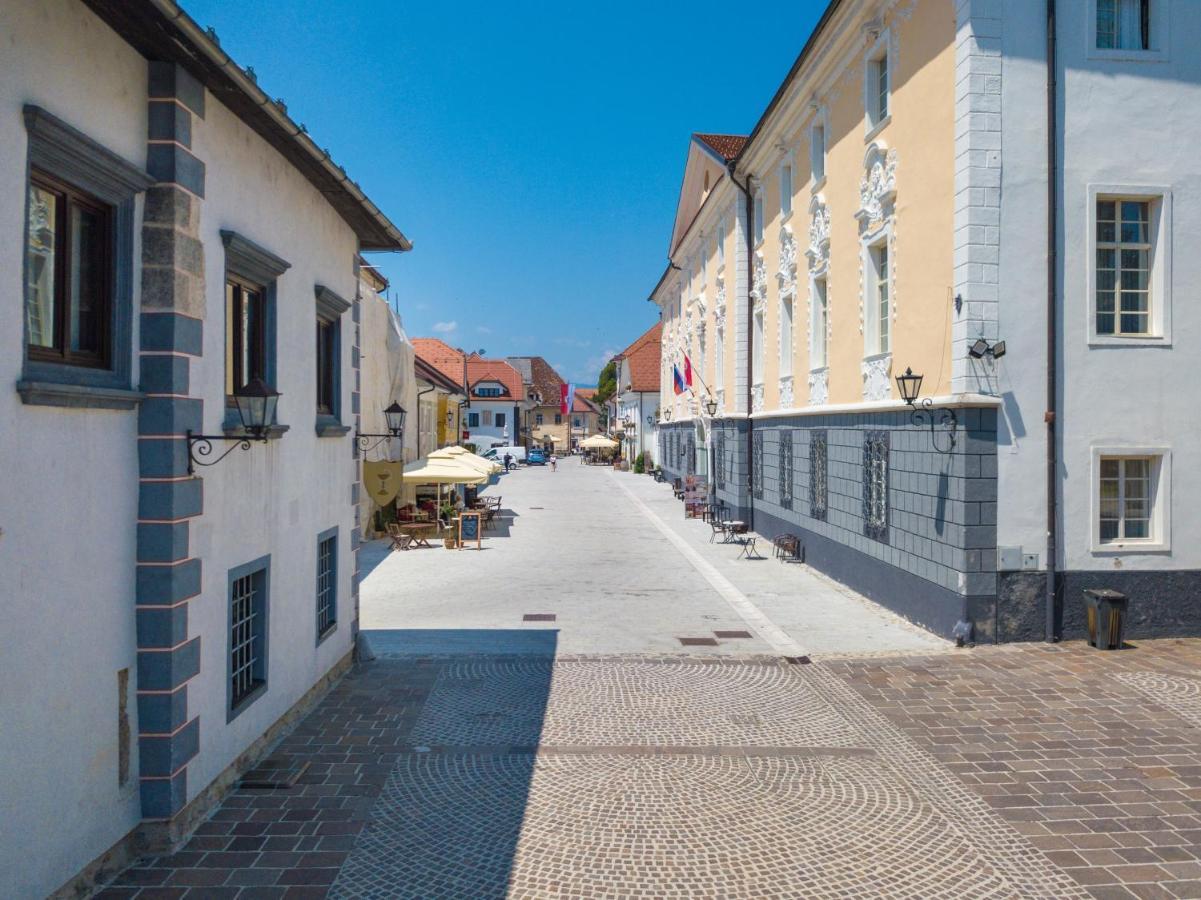 Vila Radolca Apartments & Rooms Radovljica Dış mekan fotoğraf