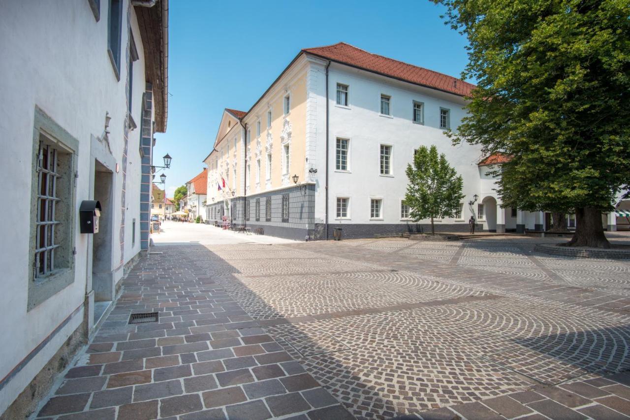 Vila Radolca Apartments & Rooms Radovljica Dış mekan fotoğraf
